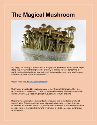 the magical mushroom