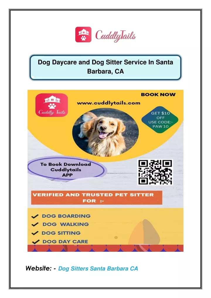 dog daycare and dog sitter service in santa