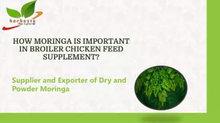 HOW MORINGA IS IMPORTANT IN BROILER CHICKEN FEED SUPPLEMENT?