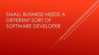 Small business needs a different sort of software developer