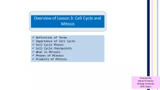 Cell Cycle and Mitosis-1