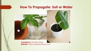 How to Propagate