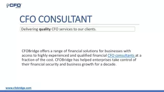 cfo consultant cfo consultant