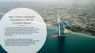 Why Choose a Business Consultant in UAE for Company Setup