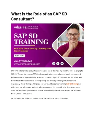 what is the role of an sap sd consultant