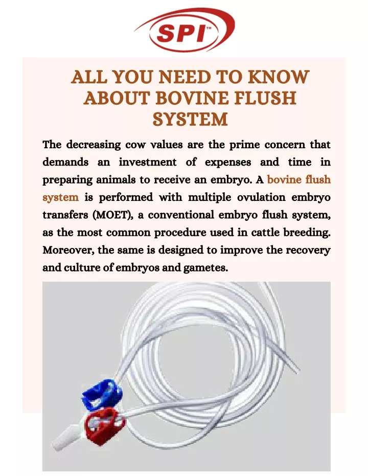 all you need to know about bovine flush system