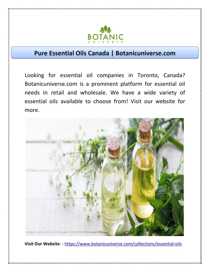 looking for essential oil companies in toronto