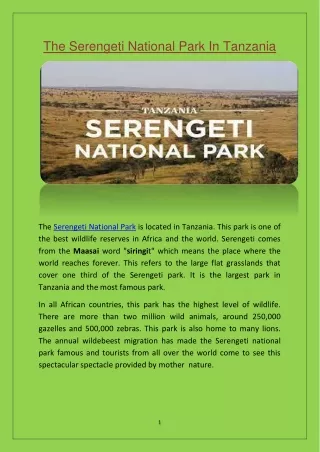 The Serengeti National Park In Tanzania
