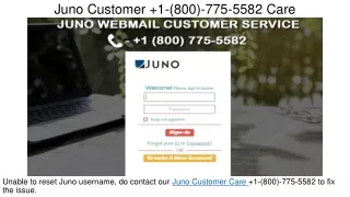 juno customer 1 800 775 5582 care