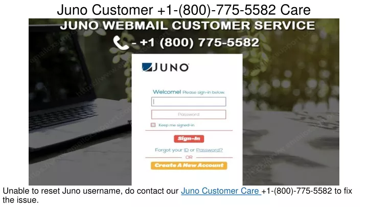 juno customer 1 800 775 5582 care