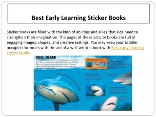 Best Early Learning Sticker Books