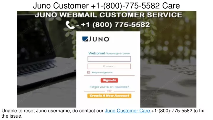 juno customer 1 800 775 5582 care