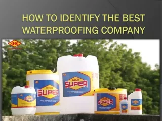 How to Identify the Best Waterproofing Company
