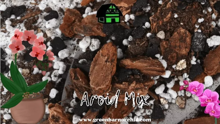 aroid mix