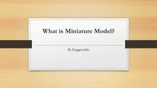 what is miniature model