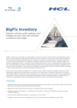 bigfix inventory maintain software audit