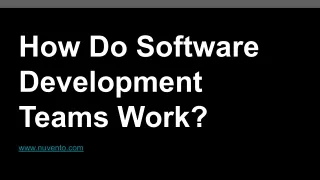 how do software development teams work