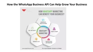 How the WhatsApp Business API Can Help Grow Your Business