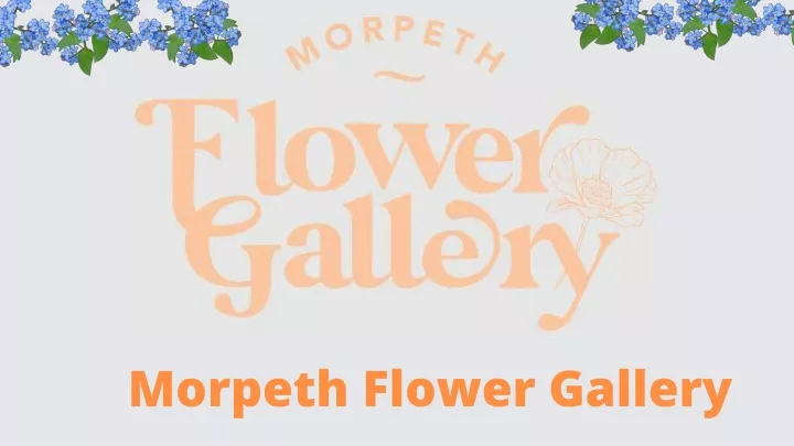 morpeth flower gallery