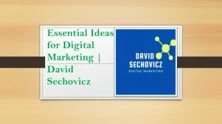 Essential Ideas for Digital Marketing | David Sechovicz