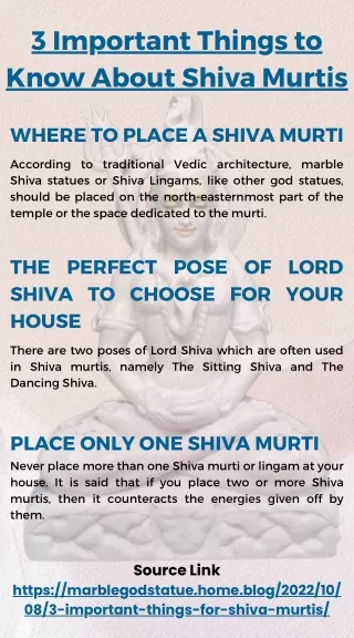 3 important things to know about shiva murtis