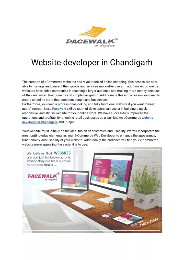 website developer in chandigarh