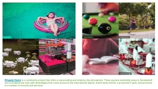 brigade oasis is a community project that offers