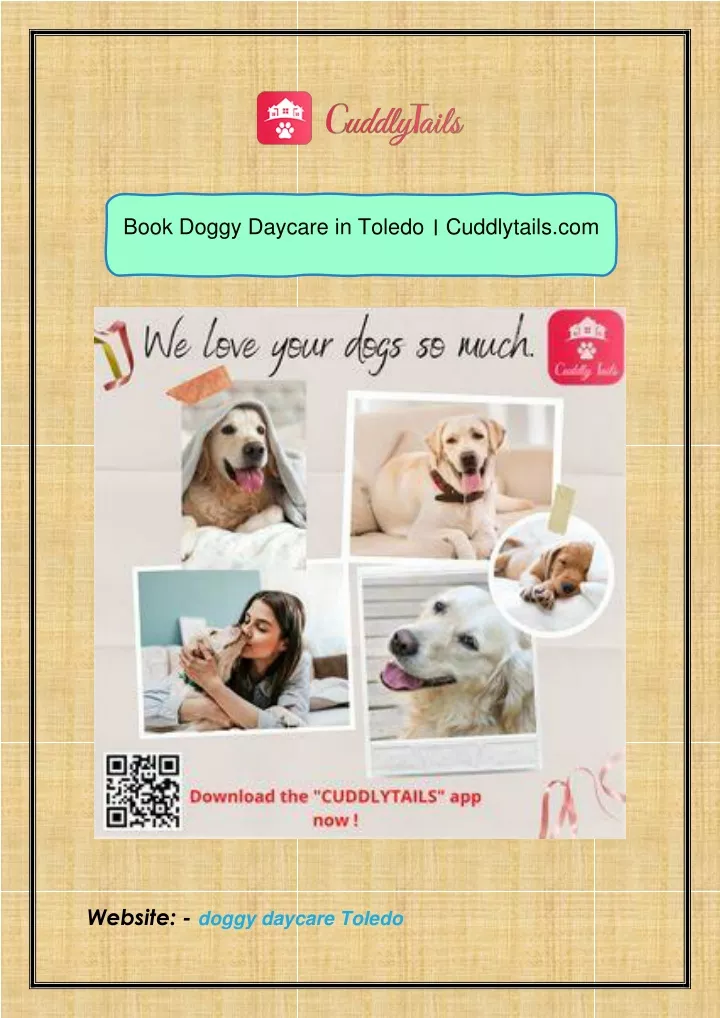 book doggy daycare in toledo cuddlytails com