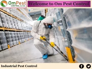 Get Best Pest Control Service Prices at Om Pest Control