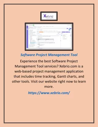 software project management tool