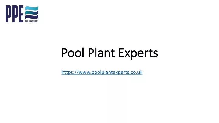 pool plant experts