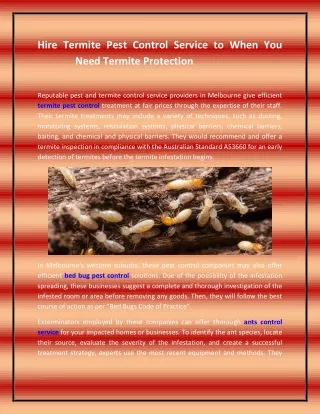 Hire Termite Pest Control Service to When You Need Termite Protection