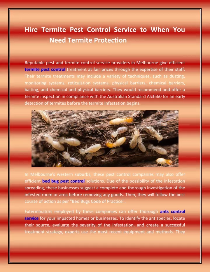 hire termite pest control service to when