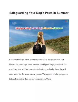 Safeguarding Your Dog’s Paws in Summer