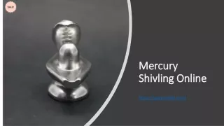 mercury shivling online