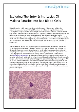 Exploring The Entry & Intricacies Of Malaria Parasite Into Red Blood Cells