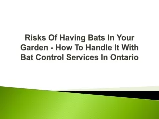 risks of having bats in your garden how to handle it with bat control services in ontario