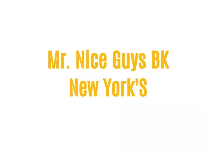 mr nice guys bk new york s