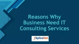 reasons why business need it consulting services
