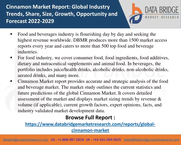 cinnamon market report global industry trends