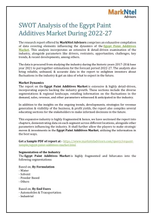 SWOT Analysis of the Egypt Paint Additives Market During 2022-27