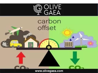 Carbon Offset Program