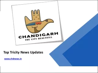 Top Tricity News Updates - www.chdnews.in