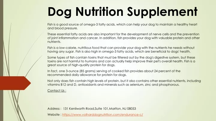 dog nutrition supplement