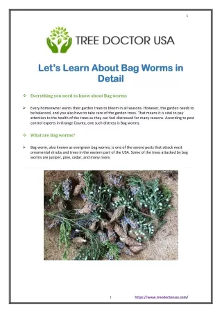 Identify, Treat, & Prevent Bag Worms Pests From Your Trees
