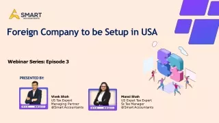 Setting up a company in the USA as a Non-Resident (IT Industry)