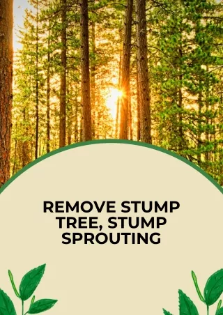 Remove Stump Tree, Stump Sprouting