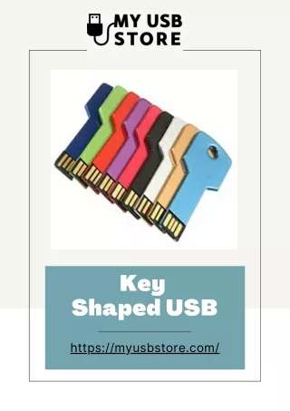 Key Shaped USB Supplier USA | Buy Bulk Novelty Flash Drives