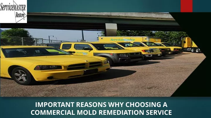 important reasons why choosing a commercial mold remediation service