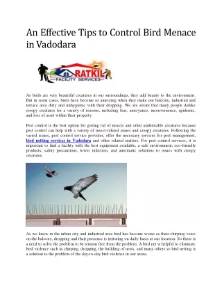 an effective tips to control bird menace